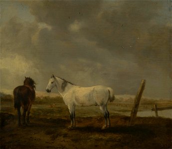 Pieter Wouwerman - Twee paarden op een weide - ГЭ-2684 - Hermitage Museum