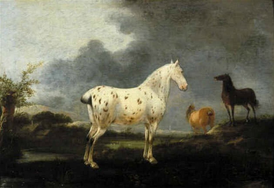 Pieter Wouwerman - Landschap met appelschimmel - VdV 92 - Museum Boijmans Van Beuningen