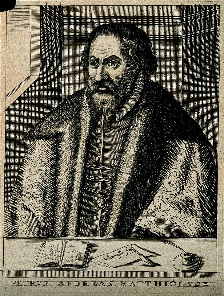 Pietro Andrea Mattioli. Line engraving by N. de Larmessin, 1 Wellcome V0003913