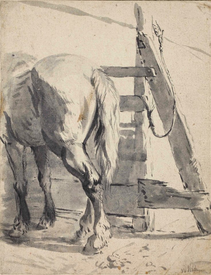 Pieter van Bloemen - A horse seen from behind