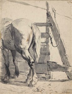 Pieter van Bloemen - A horse seen from behind
