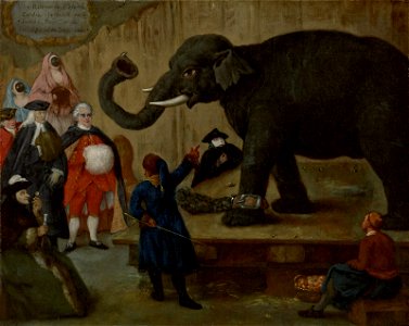 Pietro Longhi - The Display of the Elephant - BF.1980.3 - Museum of Fine Arts. Free illustration for personal and commercial use.