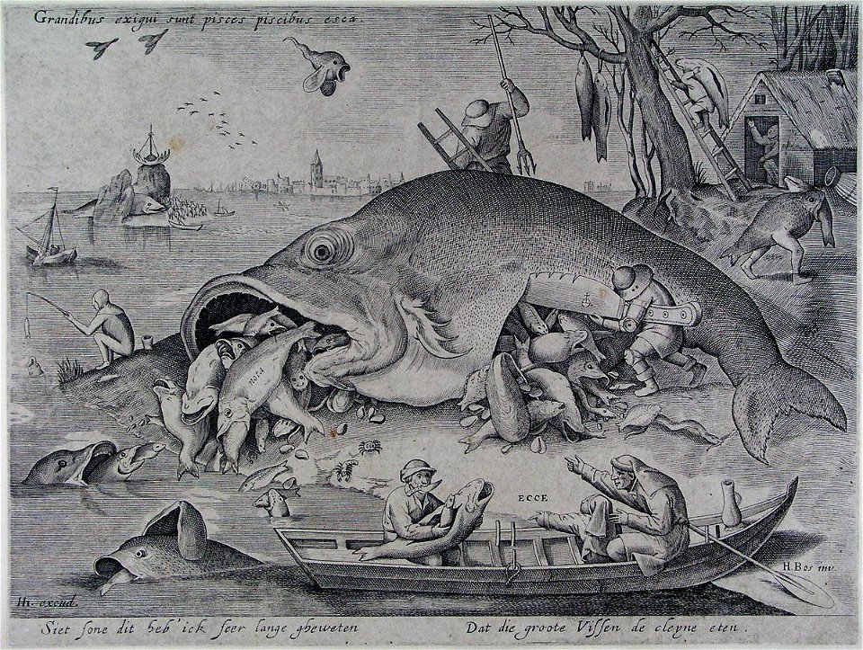 Pieter van der Heyden 010