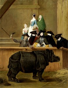 Pietro Longhi 1751 rhino. Free illustration for personal and commercial use.