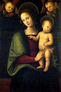 Pietro Perugino cat42