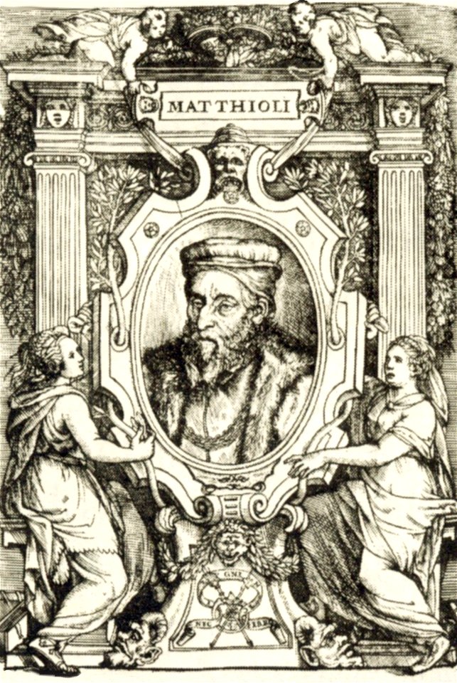 Pietro Andrea Mattioli by Melantrich