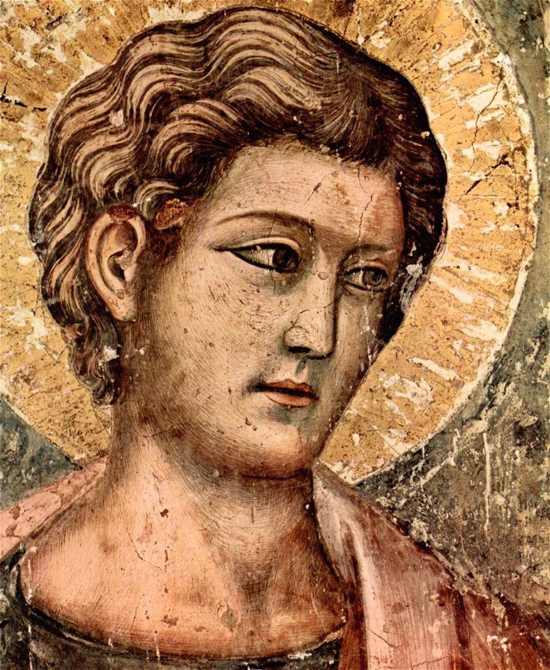 Pietro Cavallini 005
