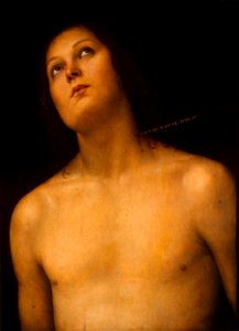 Pietro Perugino - Bust of St Sebastian - WGA17315