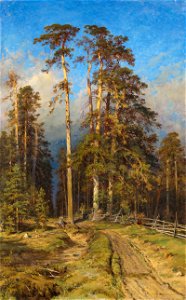 Pine Forest 02 (Ivan Shishkin). Free illustration for personal and commercial use.