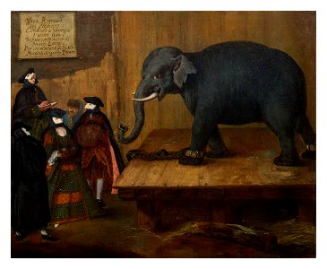 Pietro Longhi, L’Elefante, 1774, Olio su tela, 62 x 50.1 cm, Collezione Intesa Sanpaolo Gallerie d'Italia - Palazzo Leoni Montanari, Vicenza