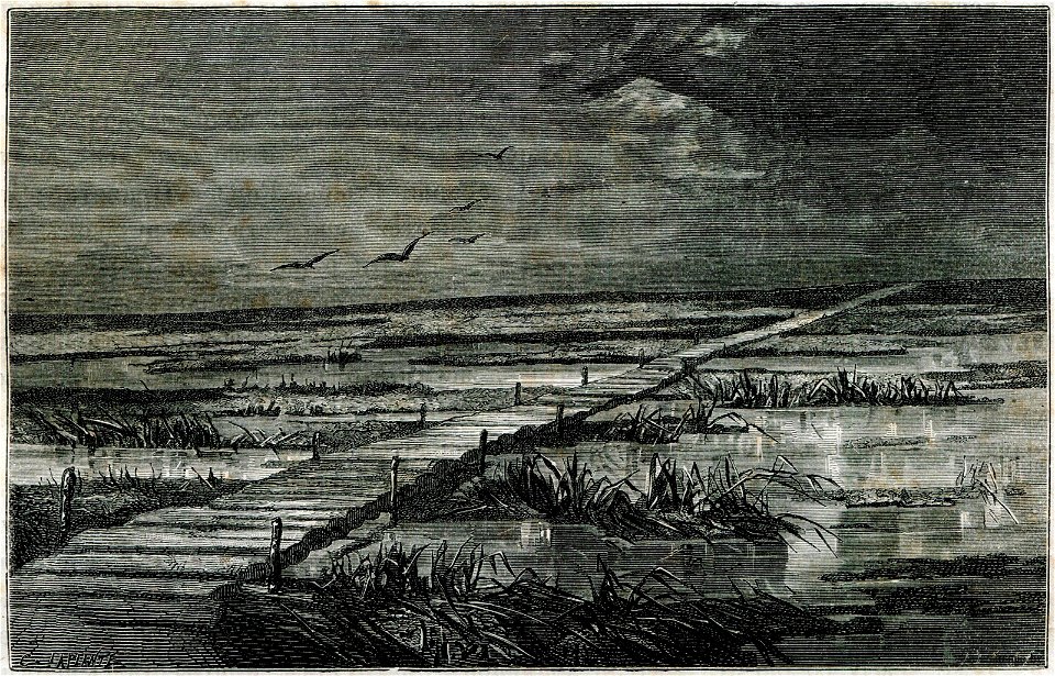 Pinskaje bałota. Пінскае балота (1882)