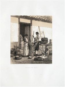 Pilage du café, da Coleção Brasiliana Iconográfica