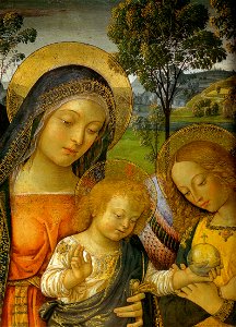 Pinturicchio, madonna della pace, 1490 circa. 143x70 cm, sanseverino marche, pinacoteca civica, dettaglio