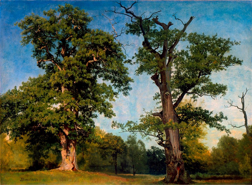 Pioneers of the Woods, California by Albert Bierstadt, c. 1861, High Museum of Art