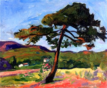 Pine, St. Tropez Albert Marquet (1906)