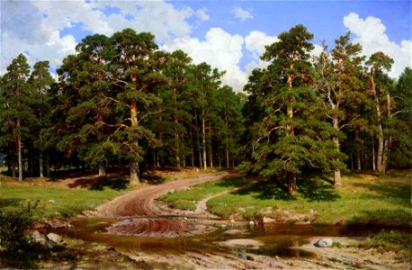 Pine Forest by Ivan Shishkin 1895. Free illustration for personal and commercial use.