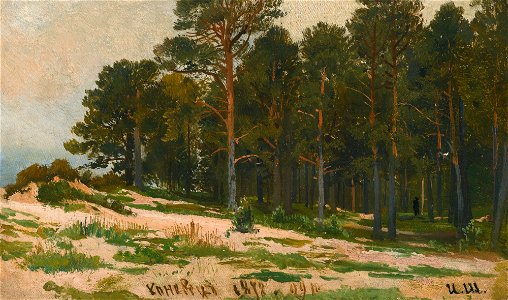 Pine Forest (Shishkin). Free illustration for personal and commercial use.