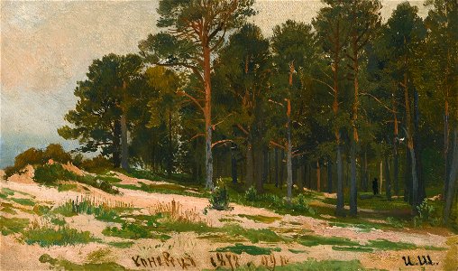 Pine Forest (Shishkin)