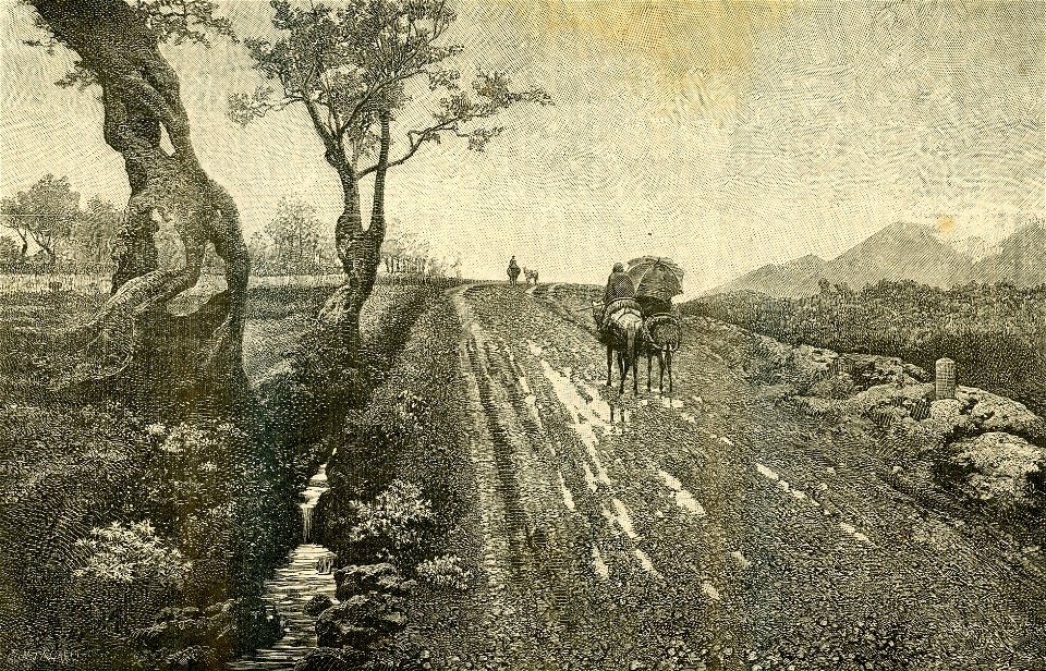 Pioggia di primavera xilografia