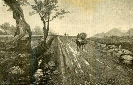 Pioggia di primavera xilografia