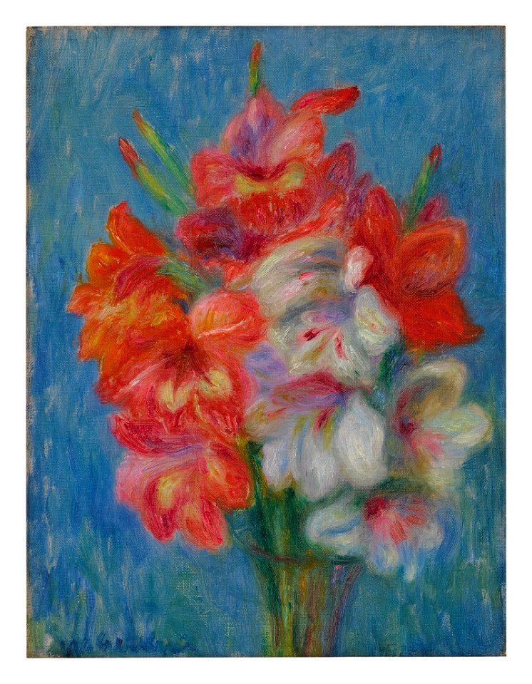 PINK AND WHITE GLADIOLI )