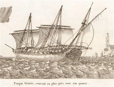 Pinque génois naviguant au plus près
