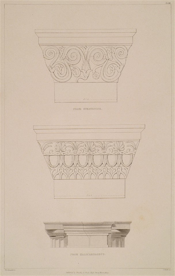 Pilaster capitals from Stratonice and Halicarnassus - Cockerell Charles Robert & Kinnard William & Donaldson Thomas Leverton & Jenkins William & Railton William - 1830