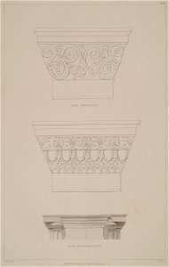 Pilaster capitals from Stratonice and Halicarnassus - Cockerell Charles Robert & Kinnard William & Donaldson Thomas Leverton & Jenkins William & Railton William - 1830