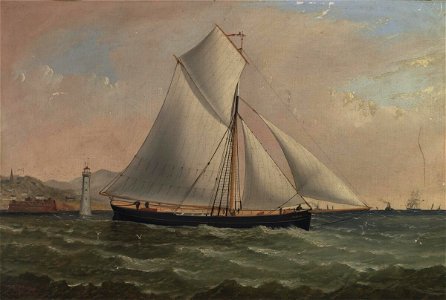 Pilgrim (4703004)