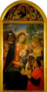 Pinturicchio, madonna della pace, 1490 circa. 143x70 cm, sanseverino marche, pinacoteca civica