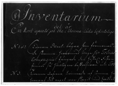 Pimpelspö m lejonhuvud - Livrustkammaren - 9572-negative