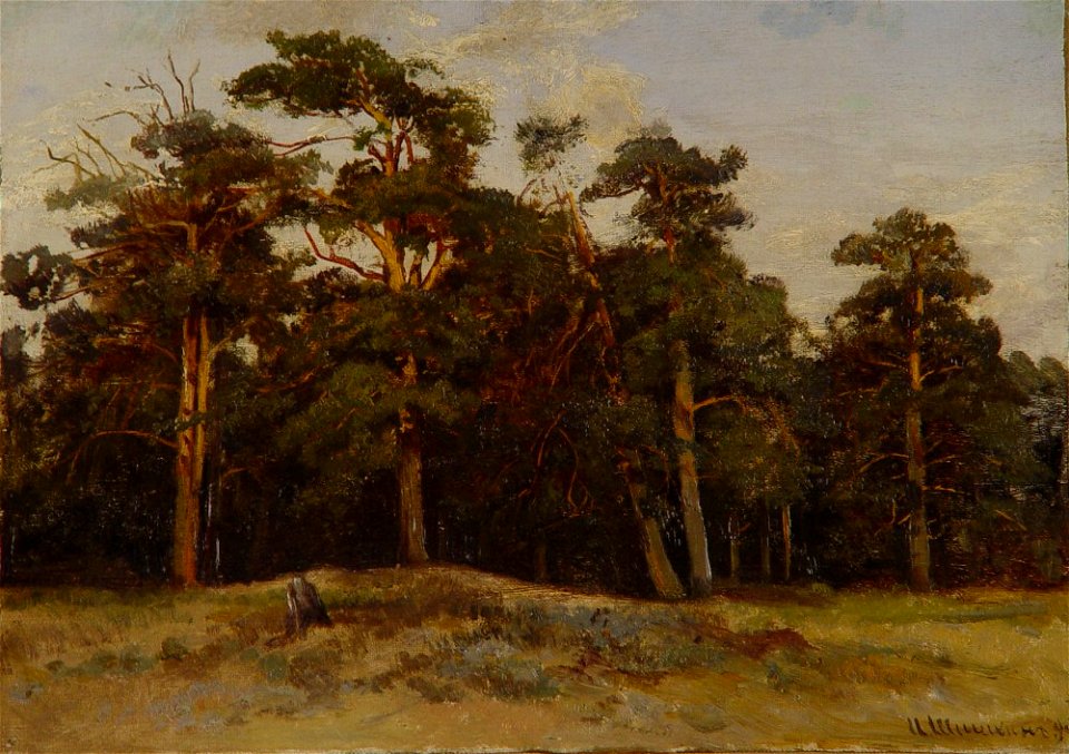 Pines (Shishkin)