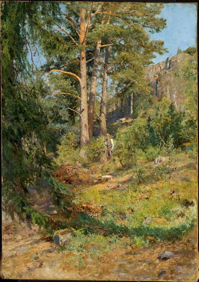 Pine Forest Skutudden (Carl Trägårdh) - Nationalmuseum - 132602