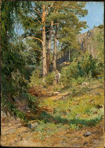 Pine Forest Skutudden (Carl Trägårdh) - Nationalmuseum - 132602