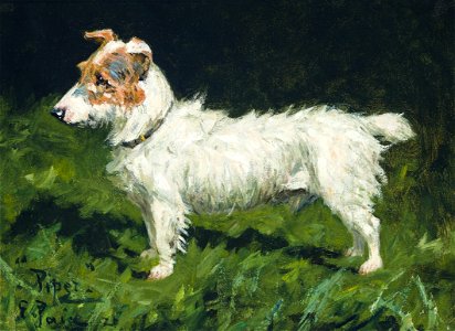 Piper, a Jack Russell Terrier, by George Paice (British, 1854-1925). Free illustration for personal and commercial use.