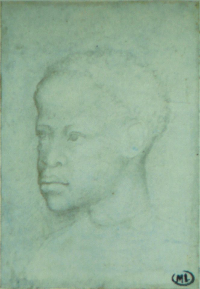 Pisanello - Codex Vallardi 2324
