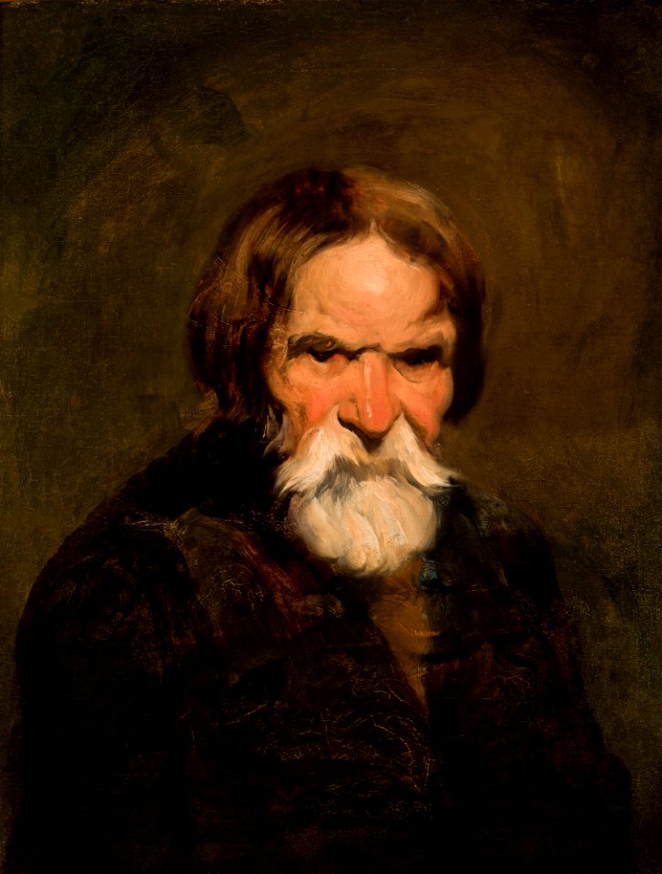 Piotr Michałowski - Study of a Bearded Peasant - MNK II-a-728 - National Museum Kraków
