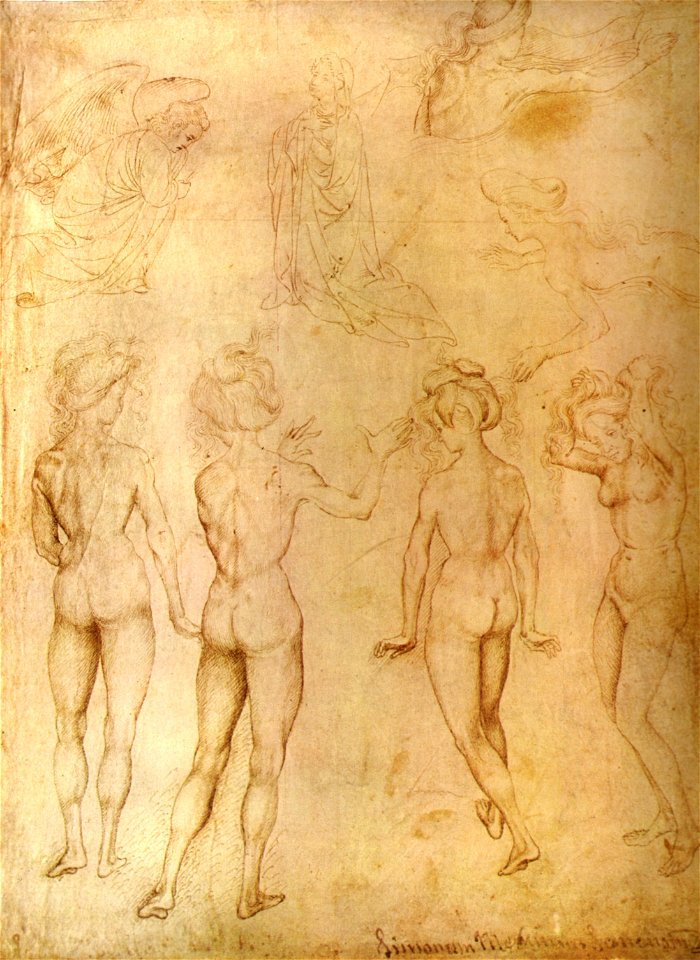 Pisanello, disegni, museum boymans van beuningen I.520 r