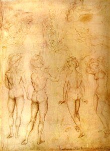 Pisanello, disegni, museum boymans van beuningen I.520 r