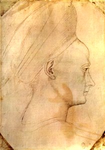 Pisanello, disegni, louvre 2342 r