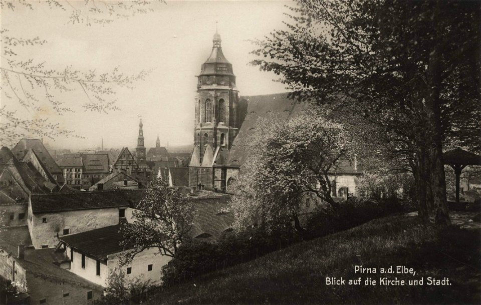 Pirna, Sachsen - Stadtansicht mit Kirche (Zeno Ansichtskarten)