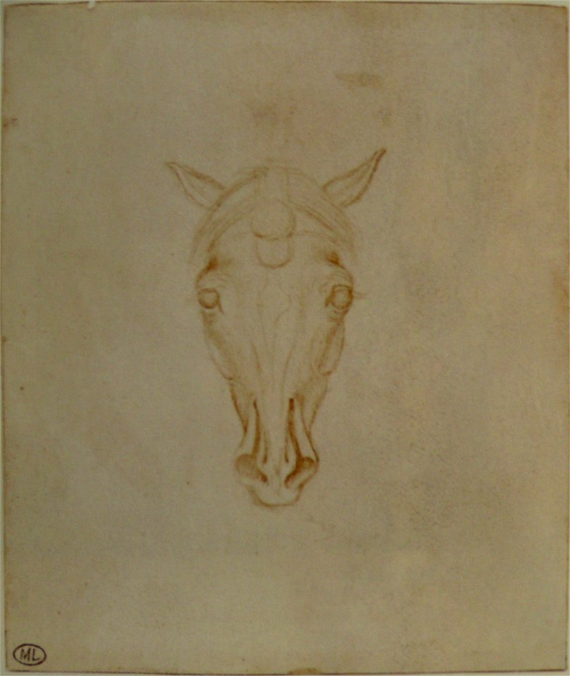 Pisanello - Codex Vallardi 2405