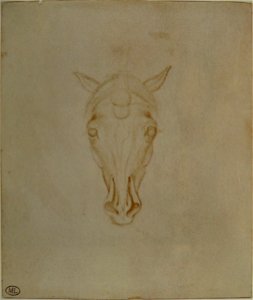 Pisanello - Codex Vallardi 2405