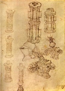 Pisanello, disegni, louvre 2295 r
