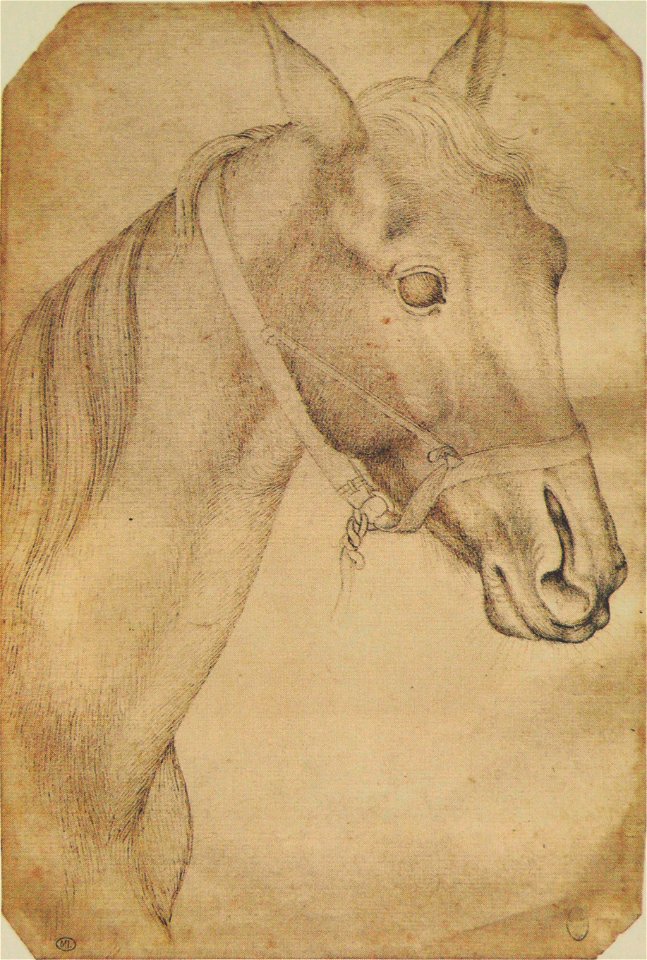 Pisanello - Codex Vallardi 2363