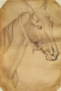 Pisanello - Codex Vallardi 2363
