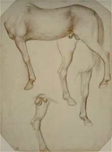Pisanello - Codex Vallardi 2367 r