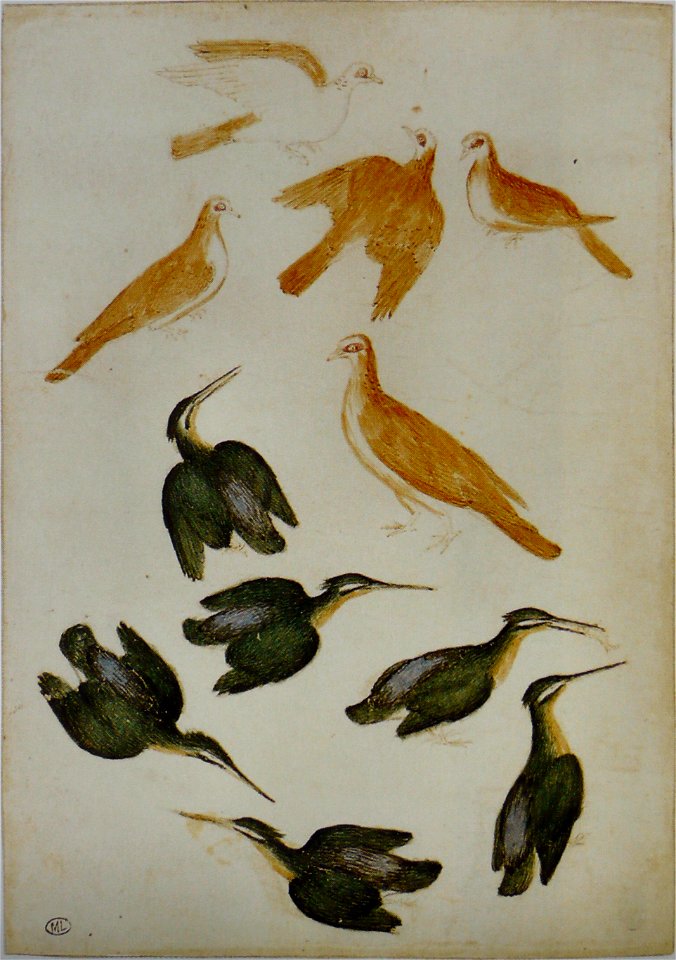 Pisanello - Codex Vallardi 2473
