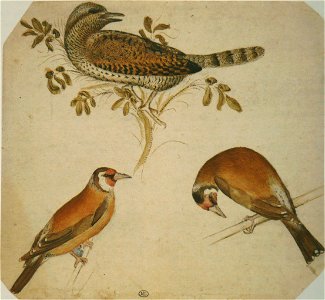 Pisanello - Codex Vallardi 2466