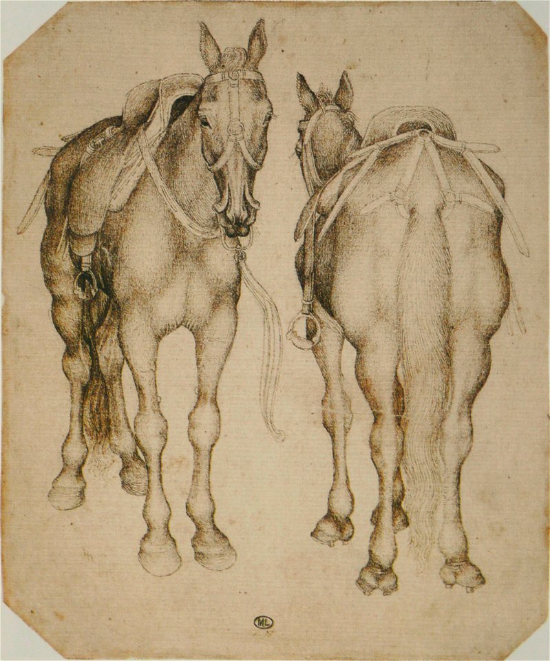 Pisanello - Codex Vallardi 2468